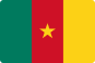 Cameroon flag